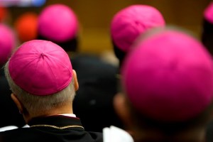  Hay que reformar el cuestionario sobre los nombramientos de los obispos