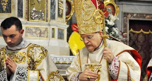 cardenal-raymon-leo-burke-mensajesdediosalmundo-blogspot-jpg2-webp1