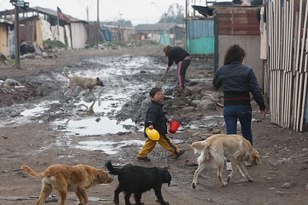La inhumana indiferencia