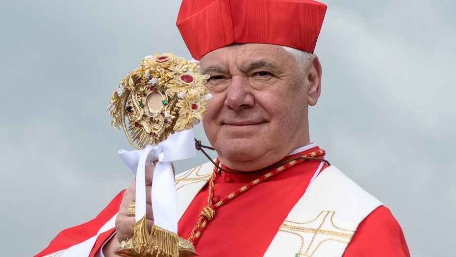  Cardenal Gerhard Müller líder de la oposición a Francisco