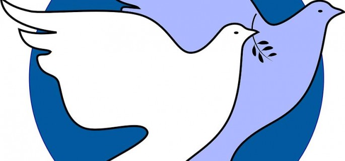 dove-36573_960_720