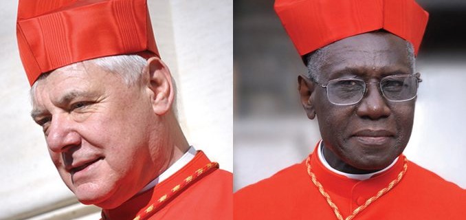 cardinalsmullersarah-678x380