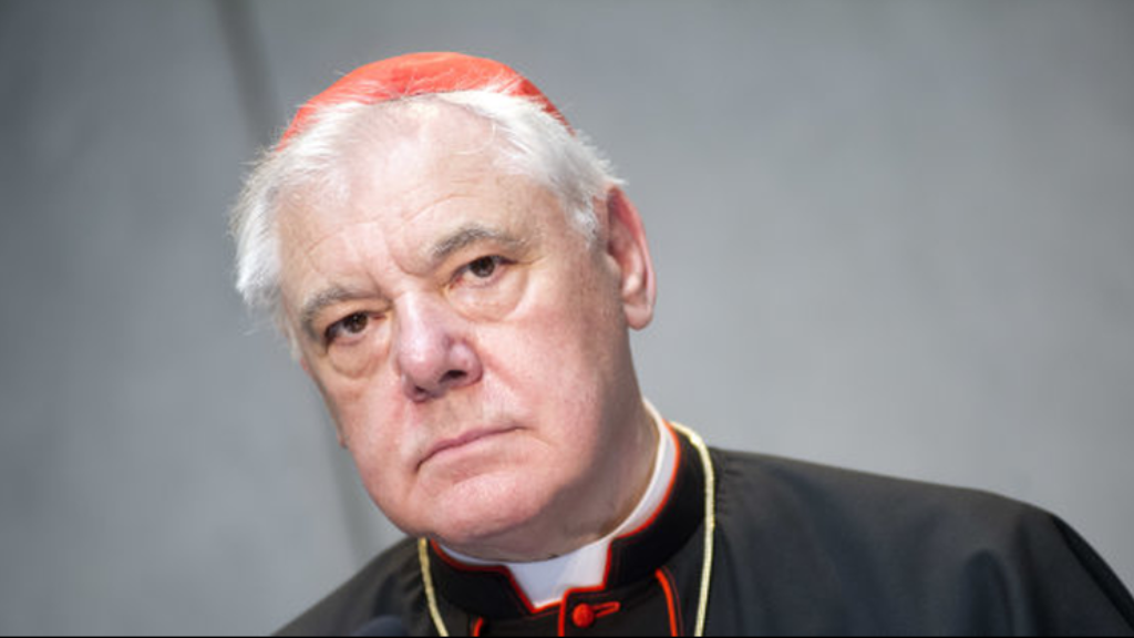  Cardenal Müller  critica el Documento del Sínodo de la Amazonía