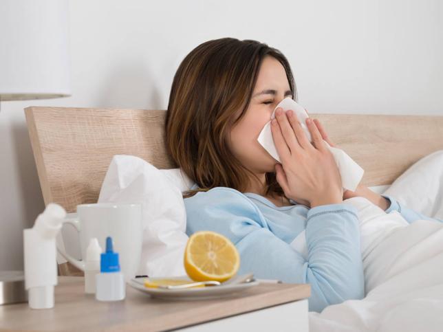  Sobre el Resfriado y la Gripe