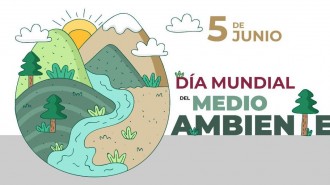dc3ada-mundial-m.-ambiente-2019-blogw