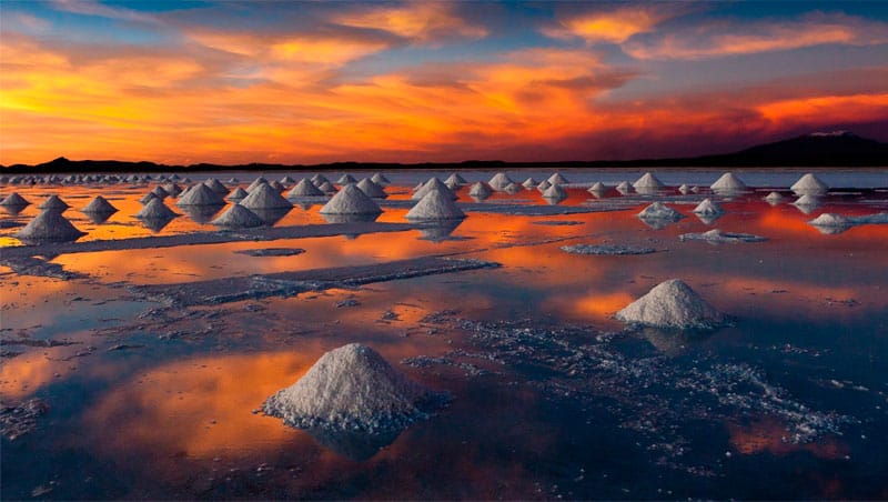  El mundo detrás del oro blanco