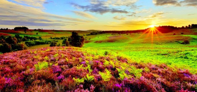 9-95679_hd-summer-sunrise-wallpaper-3-examples-of-natures