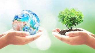 ecología-e1551739090805