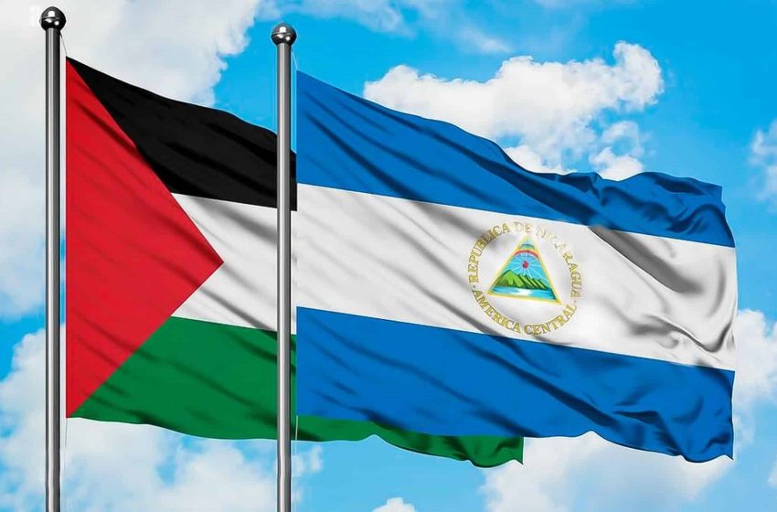  Impedir y Detener el Genocidio en Palestina