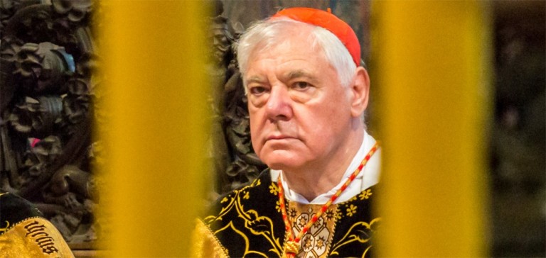  Müller y la “confusión” de los críticos del Papa