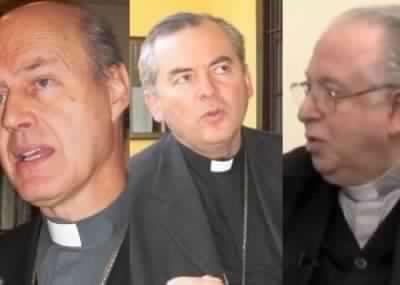  Laicos piden la renuncia de los obispos Valenzuela y Koljatic