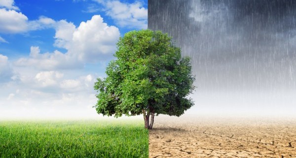 cambio-climatico-1