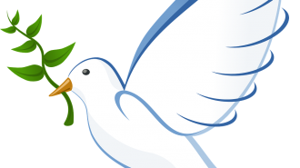 dove-41260_1280-1044x675