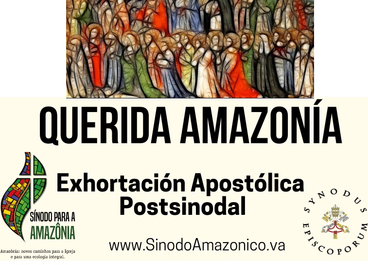  Sobre la exhortación «Querida Amazonia»