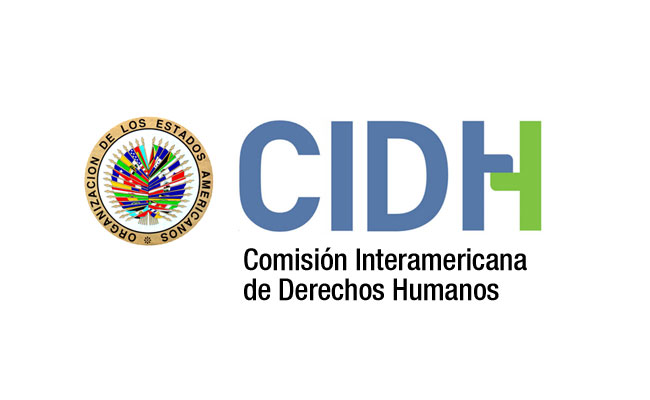  CIDH trabajará  con ONG en abusos sexuales clericales