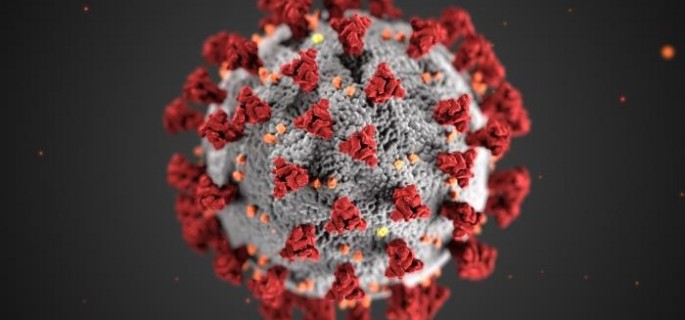 corona-virus