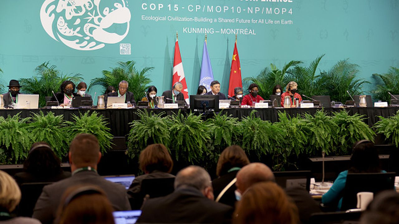  COP15: Acuerdo histórico sobre biodiversidad en Montreal