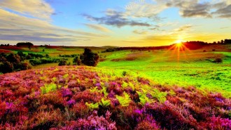 9-95679_hd-summer-sunrise-wallpaper-3-examples-of-natures